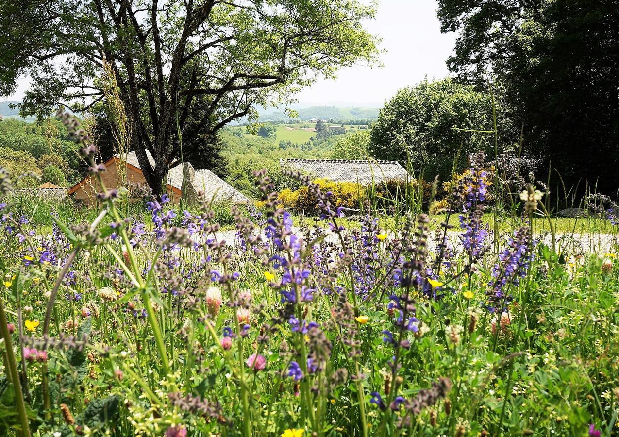 Saint-Germain-du-Teil Domaine Des Marequiers Chambre Pimprenelle المظهر الخارجي الصورة