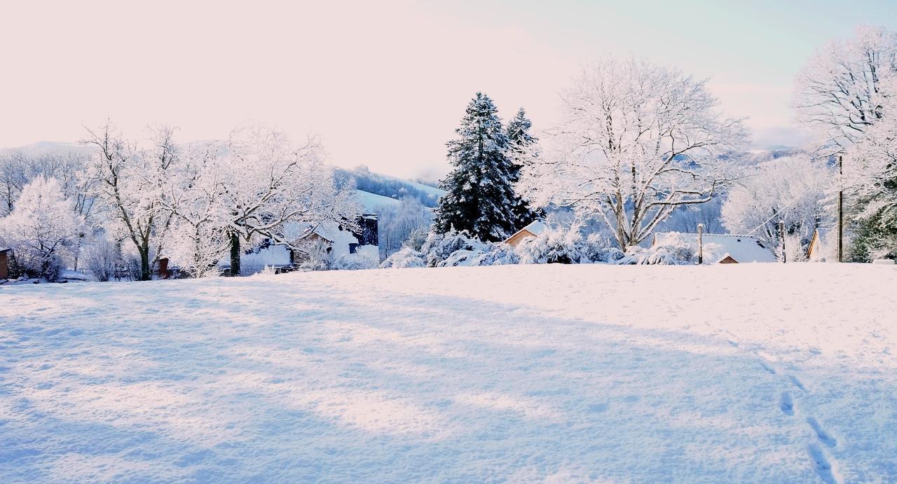 Saint-Germain-du-Teil Domaine Des Marequiers Chambre Pimprenelle المظهر الخارجي الصورة