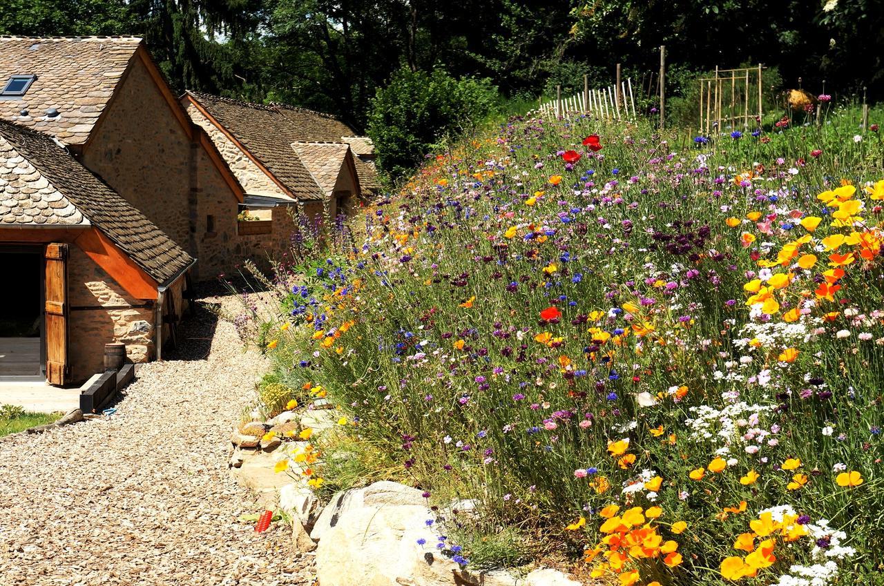 Saint-Germain-du-Teil Domaine Des Marequiers Chambre Pimprenelle المظهر الخارجي الصورة