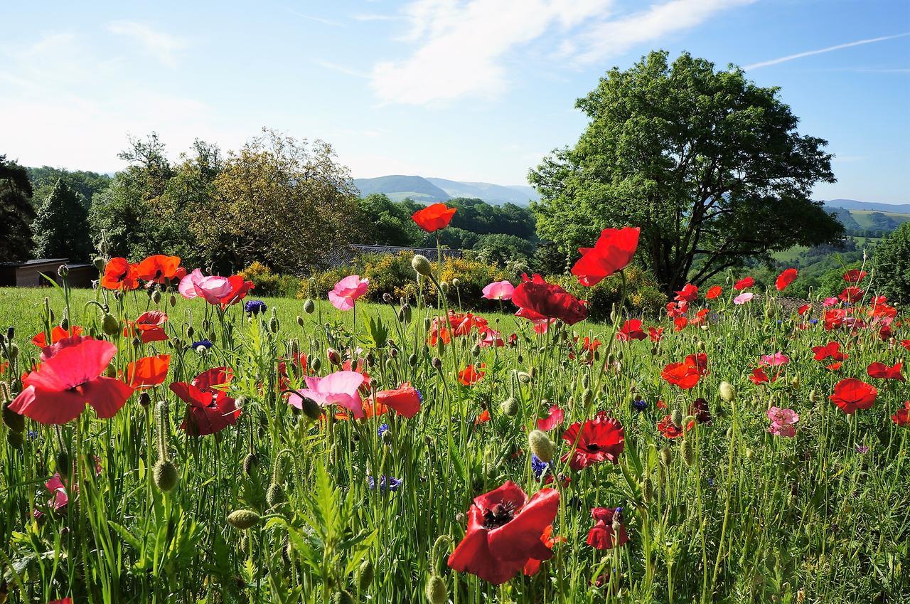 Saint-Germain-du-Teil Domaine Des Marequiers Chambre Pimprenelle المظهر الخارجي الصورة